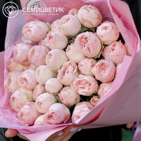 Букет из 11 нежно-розовых кустовых пионовидных роз Mansfield Park 50 см (Эквадор)