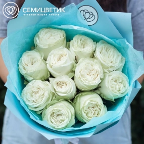 Букет из 11 белых пионовидных роз Titanium 40 см в голубой пленке