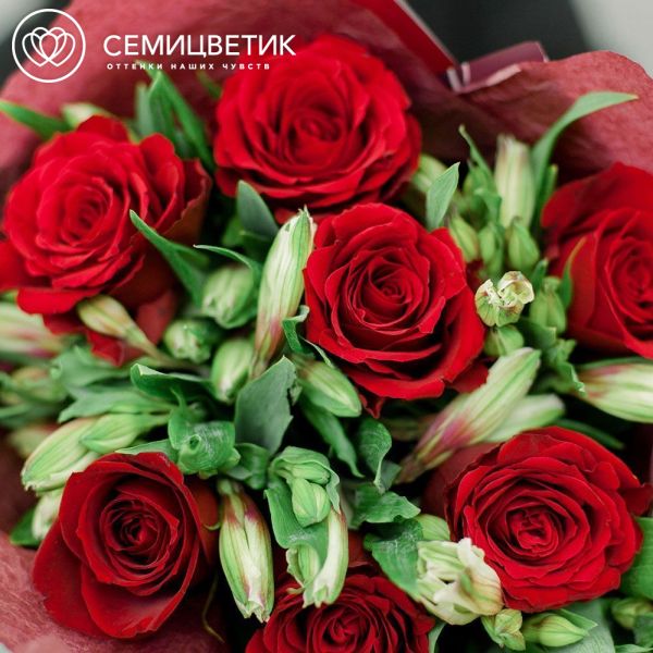 Букет из 7 красных роз 40 см (Кения) и 4 белых альстромерий в бордовой пленке