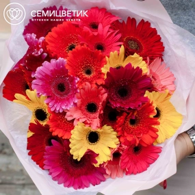 Букет из 25 гербер микс в розовой пленке