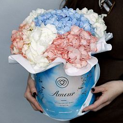 Букет в голубой шляпной коробке Amour Mini из 5 гортензий микс