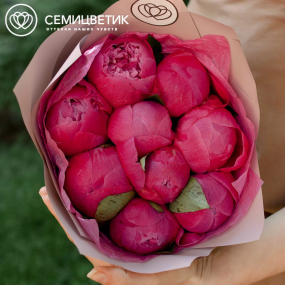 Букет из 9 ярко-розовых пионов Command Performance Premium в кремовой пленке