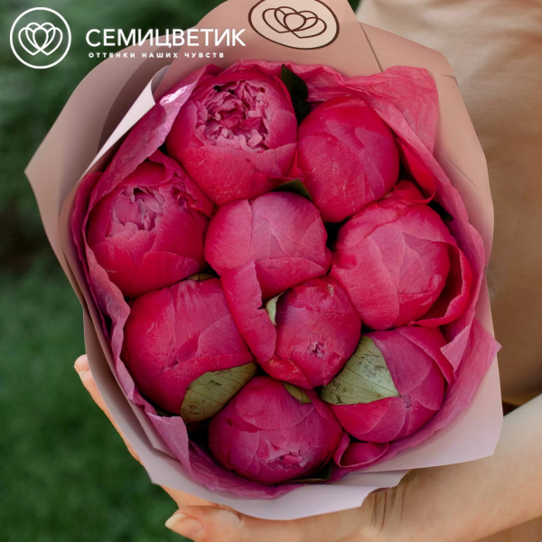 Букет из 9 ярко-розовых пионов Command Performance Premium в кремовой пленке