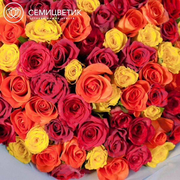 Букет из 101 розы 35-40 см микс (Кения) в голубой пленке