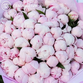 Букет из 51 розового пиона Standart в розовой пленке