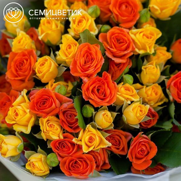Букет из 15 жёлтых и оранжевых кустовых роз 40 см (Кения) в зеленой пленке