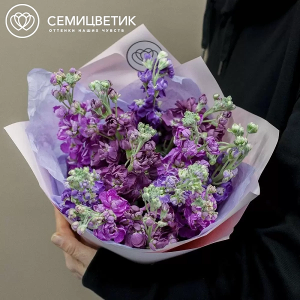 Букет из 15 махровых маттиол микс в сиреневой пленке