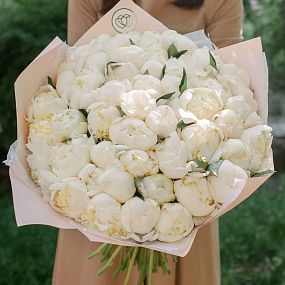 Букет из 51 белого пиона Bridal gown Premium