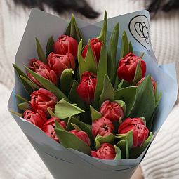 Букет из 15 красных пионовидных тюльпанов
