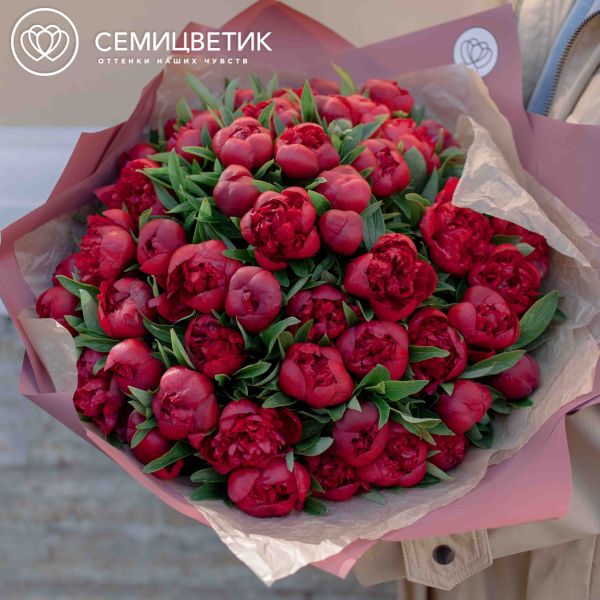 Букет из 51 бордового пиона Standart