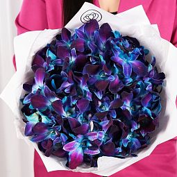 Букет из 101 синей орхидеи Пандора в белой пленке