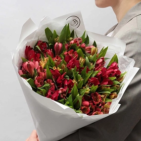 Букет из 25 красных и оранжевых альстромерий в белой пленке