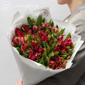 Букет из 25 красных и оранжевых альстромерий в белой пленке