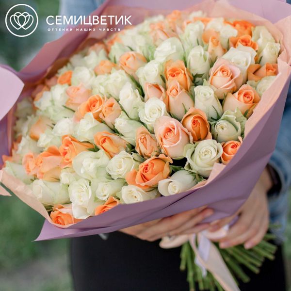 Букет из 101 белой и персиковой розы 40 см (Кения)