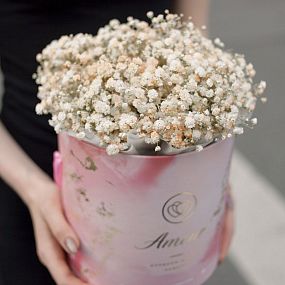 Монобукет  в розовой шляпной коробке Amour Mini из 7 бежевых гипсофил