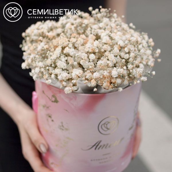 Букет в розовой шляпной коробке Amour Mini из 7 бежевых гипсофил