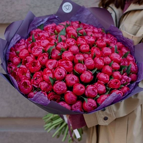 Букет из 101 кораллового пиона Coral Sunset Standart в сиреневой пленке