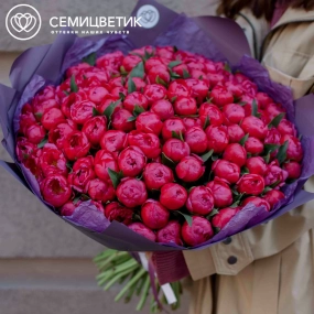 Букет из 101 кораллового пиона Coral Sunset Standart в сиреневой пленке