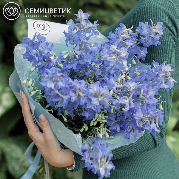 Букет из 15 дельфиниумов