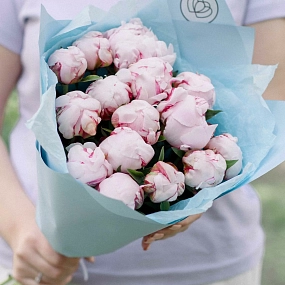 Букет из 15 розовых пионов Standart в голубой пленке