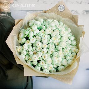Букет из 51 бело-фисташковой кустовой пионовидной розы Blanchette 40 см