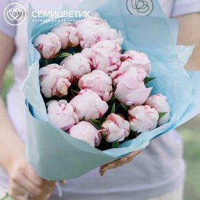 Букет из 15 розовых пионов Standart в голубой пленке