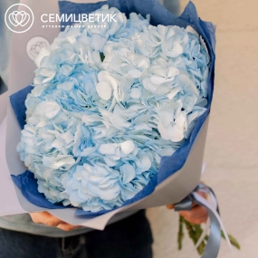 Букет из 5 голубых гортензий в белой пленке