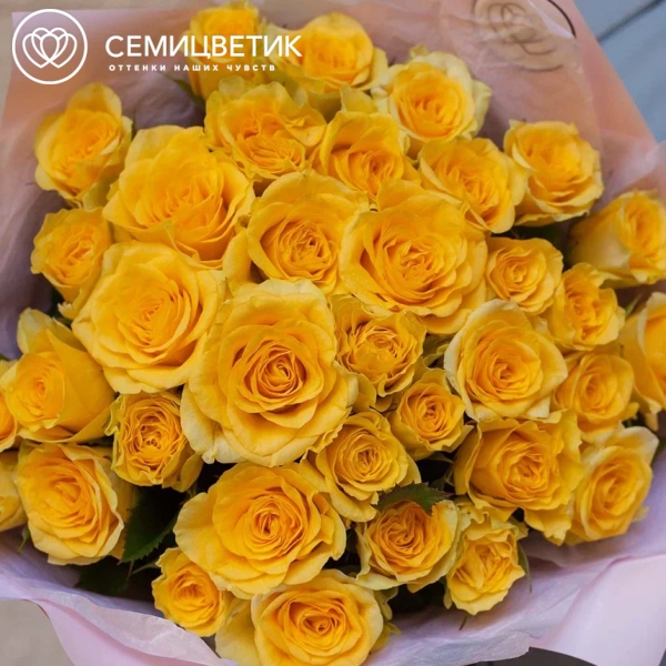 Букет из 35 желтых роз 35-40 см (Россия) в розовой пленке