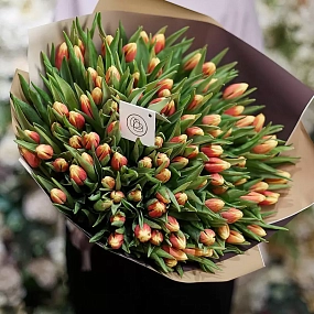 Букет из 101 желто-красного тюльпана 40 см в упаковке