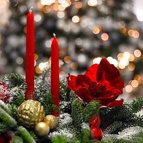 Новогодняя композиция с красными цветами