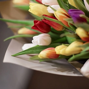 Букет из 151 тюльпана микс в бордовой пленке