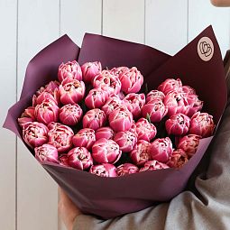 Букет из 51 розового пионовидного тюльпана