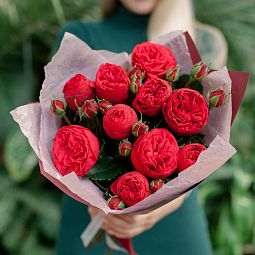 9 красных кустовых пионовидных роз Red Piano 40 см