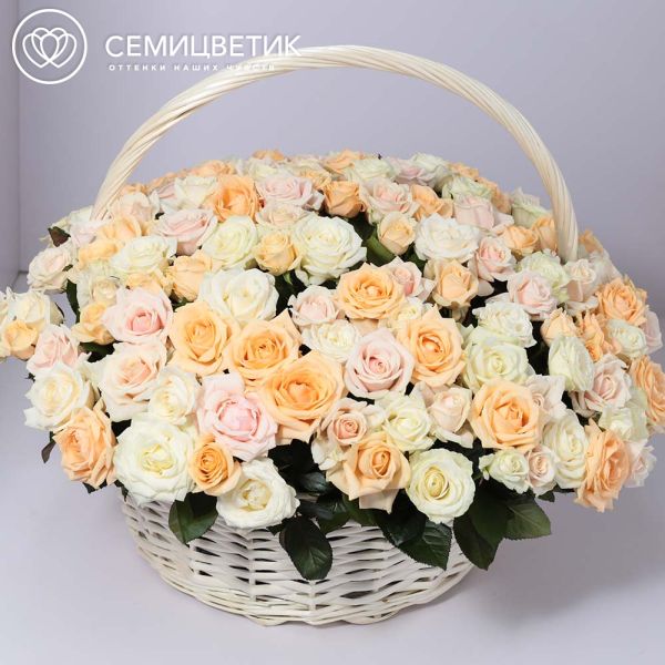 Композиция из 151 нежно-розовой, кремовой и белой розы (Россия) в корзине