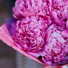 Букет из 5 ярко-розовых пионов Flemming Premium в розовой пленке