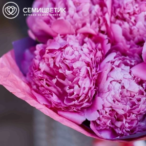 Букет из 5 ярко-розовых пионов Flemming Premium в розовой пленке