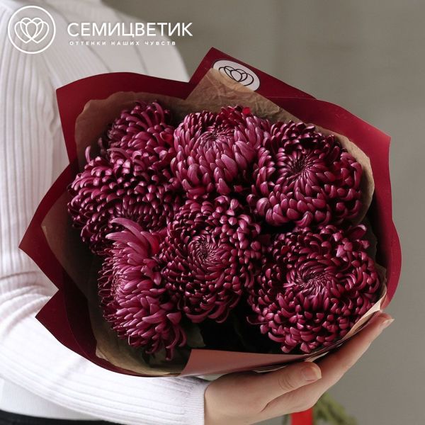 Букет из 7 одноголовых фиолетовых хризантем