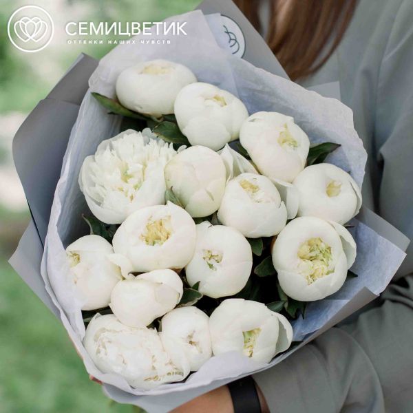 Букет из 15 белых пионов Standart Plus