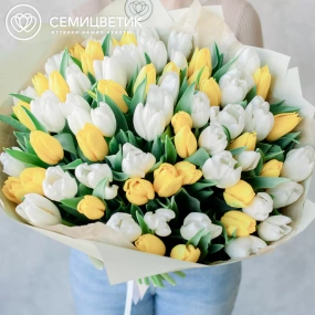 Букет из 75 желтых и белых тюльпанов 40 см в зеленой пленке