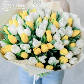 Букет из 75 желтых и белых тюльпанов 40 см в зеленой пленке