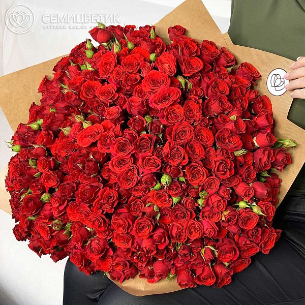 Букет из 101 красной кустовой розы 40 см (Кения)
