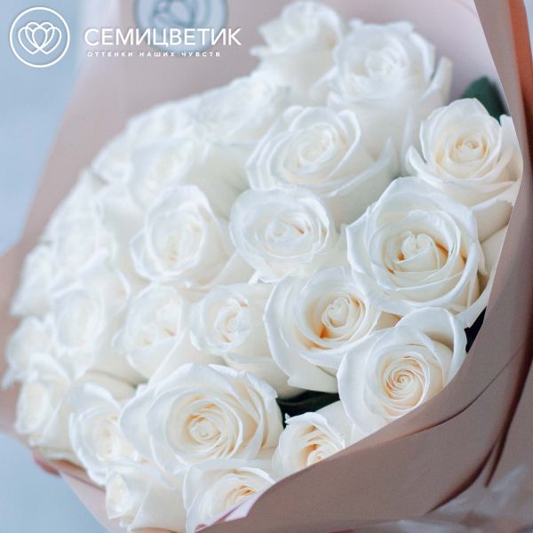 Букет из 25 белых роз (Эквадор) 70 см Vendela в кремовой пленке