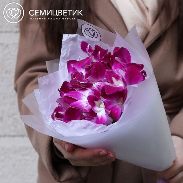 Букет из 25 фиолетовых орхидей в прозрачной пленке