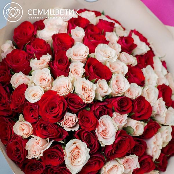 Букет из 101 красной и нежно-розовой розы 40 см (Кения) в кремовой пленке