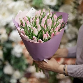 Букет из 51 нежно-розового тюльпана в розовой пленке