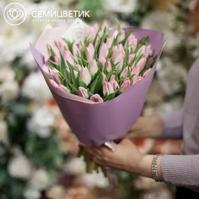 Букет из 51 нежно-розового тюльпана в розовой пленке