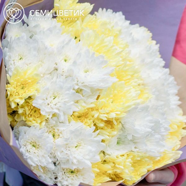 Букет из 15 желтых и белых кустовых хризантем