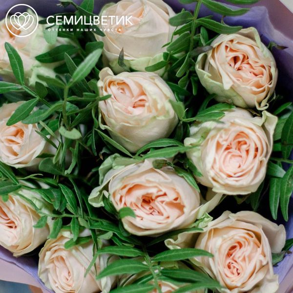 Букет из 11 кремовых пионовидных роз Wedding Rose 40 см c фисташкой