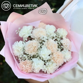 Букет из 15 кремовых и белых гвоздик с гипсофилой в розовой пленке