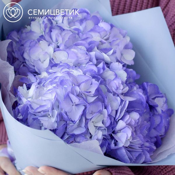 Букет из 3 фиолетовых гортензий